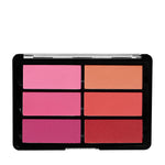 BLUSH PALETTE ROSE/CORAL