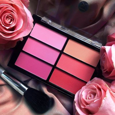BLUSH PALETTE ROSE/CORAL