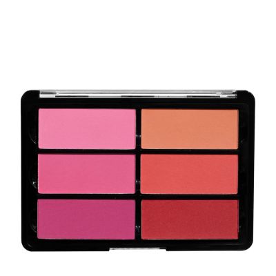 BLUSH PALETTE ROSE/CORAL